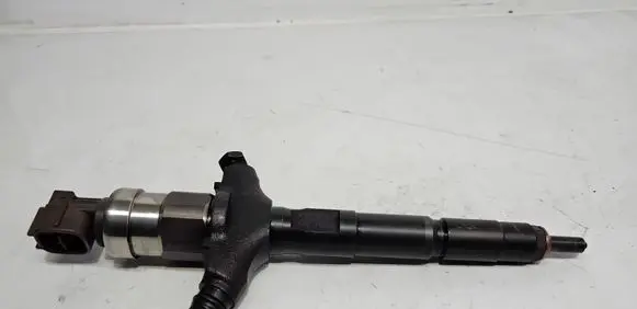Opel Signum Fuel injector 8972391617 08E10598