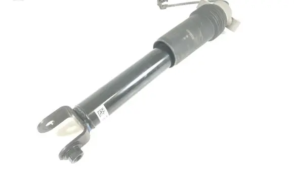 Chevrolet Corvette C7 Rear shock absorber/damper 84235051 23238698