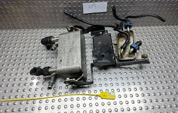 Land Rover Range Rover Sport L320 Engine oil radiator S26405596 50533000