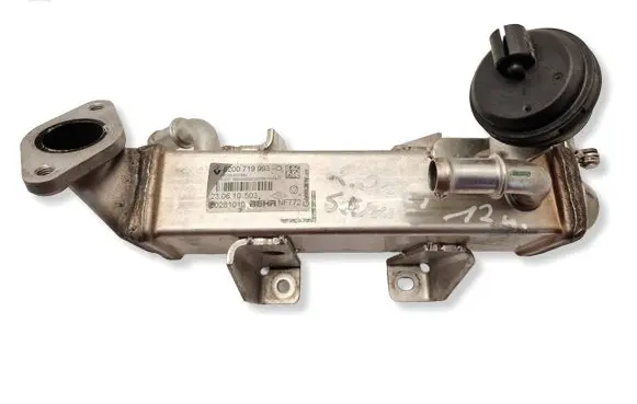 Renault Scenic III - Grand scenic III EGR valve cooler 8200719993D L0281010 8200620695