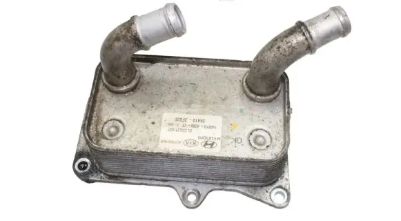 Hyundai Santa Fe Oil filter mounting bracket 264102F020