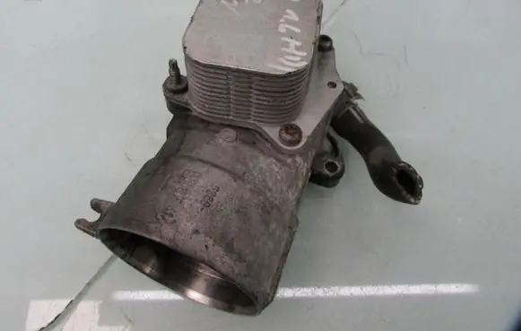 Citroen C4 I Engine oil radiator 2002300