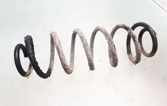 Seat Toledo II (1M) Rear coil spring