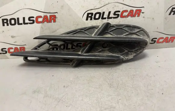 Mercedes-Benz S W220 Front bumper lower grill A2208851323 DN13379