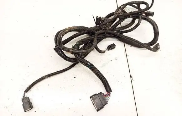 Tesla Model S Other wiring loom 100442003H