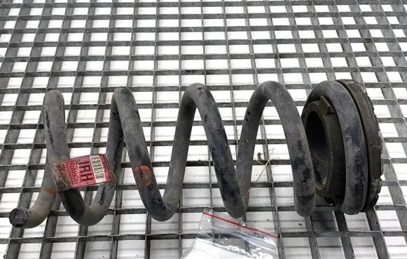 Ford Mustang VI Rear coil spring