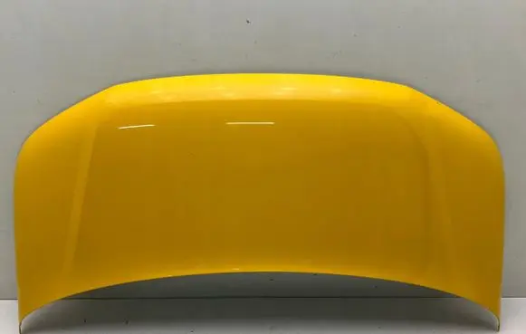 Volkswagen Multivan T5 Engine bonnet/hood