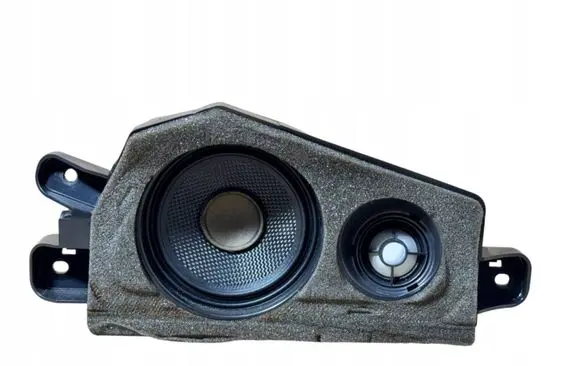 BMW X6 E71 Rear door speaker 9211049