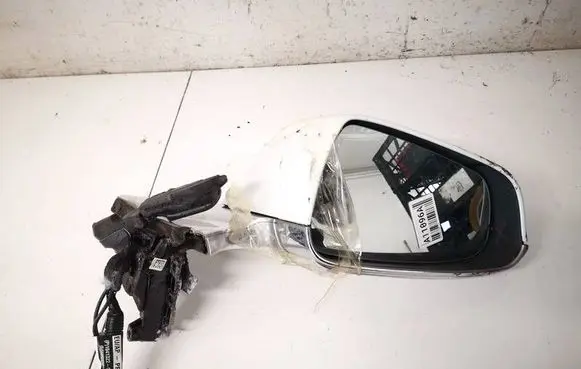 Tesla Model S Front door electric wing mirror 104132200h