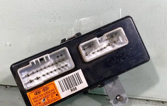 Hyundai Santa Fe Other control units/modules 952302b230