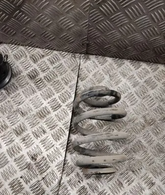 Rear coil spring