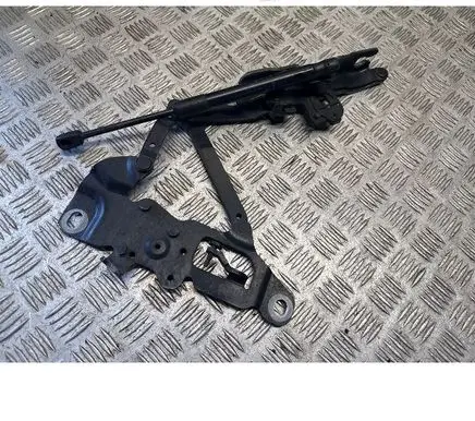 BMW 7 F01 F02 F03 F04 Engine bonnet/hood hinges 7250805