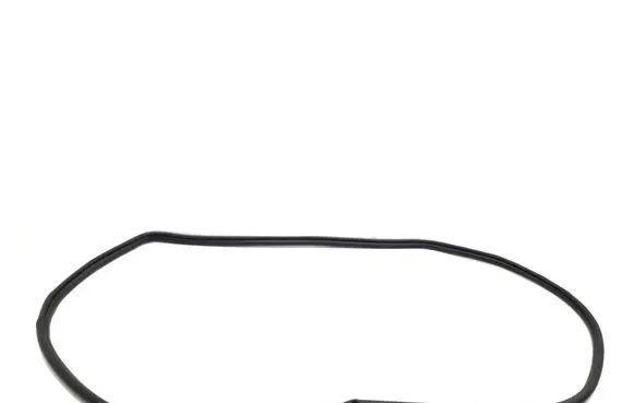 Toyota Verso Front door rubber seal 623110F020