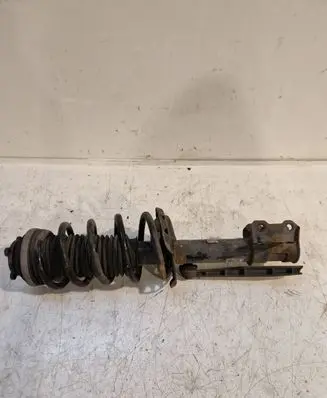 Opel Zafira B Front shock absorber with coil spring 22214012 24466546 368135153