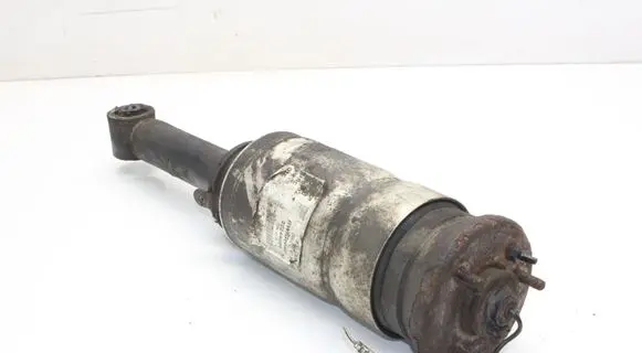 Land Rover Range Rover Sport L320 Air suspension front shock absorber 22249855