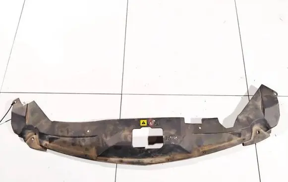 Engine bonnet/hood lock trim molding