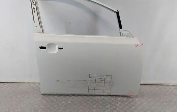 Nissan Leaf I (ZE0) Front door H01005SLAA