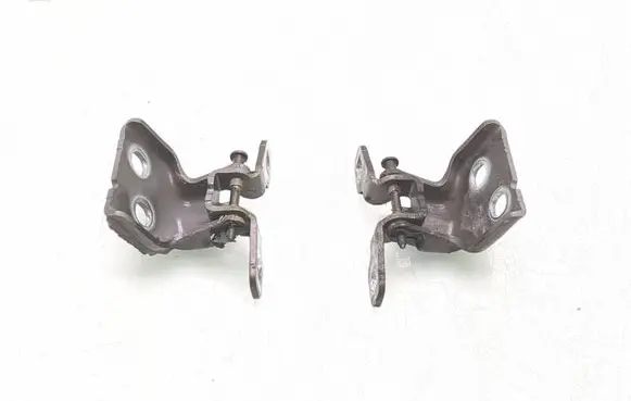 Dacia Logan III Front door hinge set BS92