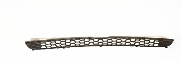 BMW X5 E70 Front bumper lower grill