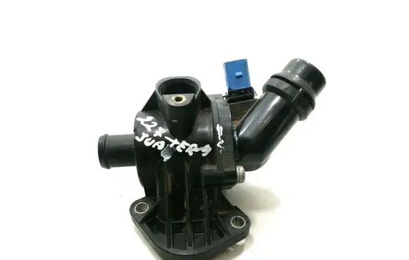 Thermostat/thermostat housing