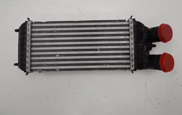 Citroen C3 Aircross Intercooler radiator 9803900780 CV448005 0048493
