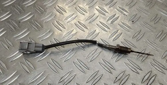 Toyota RAV 4 (XA30) Exhaust gas temperature sensor