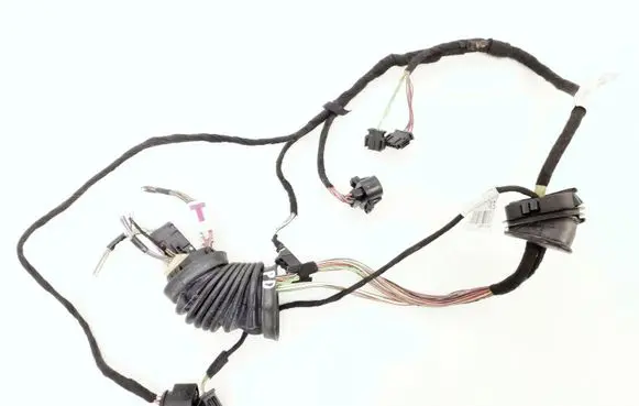 Front door wiring loom