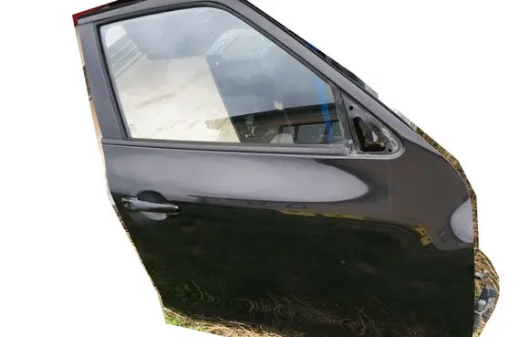 Nissan Juke I F15 Front door