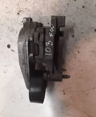 Seat Leon (1P) Alternator belt tensioner 03C903315