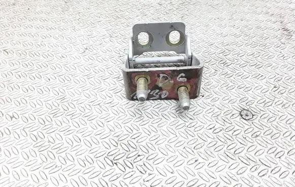 Tailgate/trunk/boot hinge