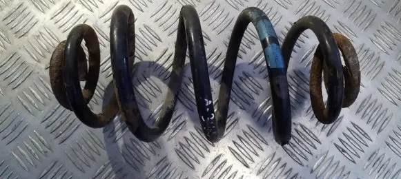 Volkswagen PASSAT B5 Rear coil spring