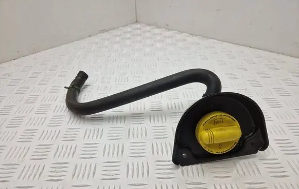 Renault Master III Oil fill pipe 8200795333