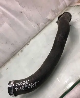 Peugeot Expert Intercooler hose/pipe 9821687780