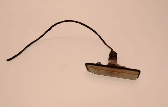 Front fender indicator light