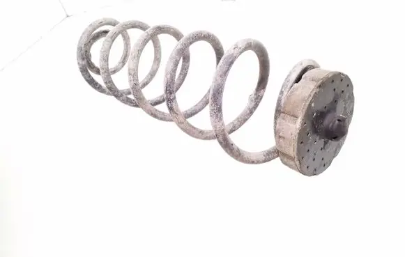 Audi A4 S4 B8 8K Rear coil spring