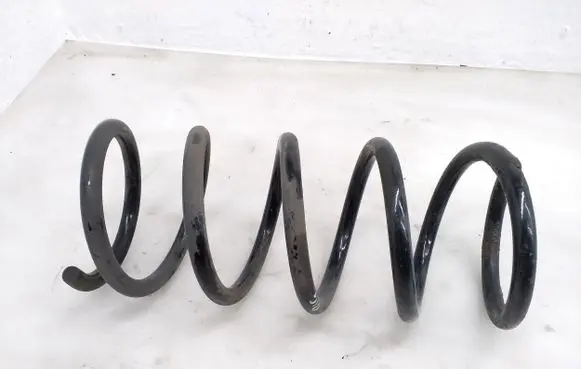 Rear coil spring