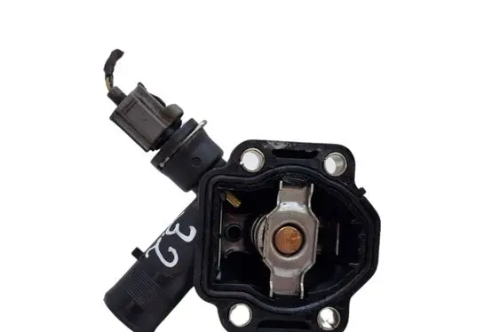 Thermostat/thermostat housing