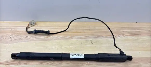 BMW X5 E70 Rear window strut damper 7286116