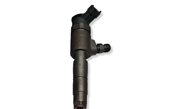 Citroen C3 Fuel injector S27624883 0445110339