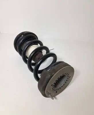 Rear coil spring