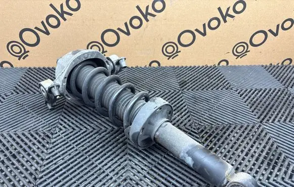 Porsche Cayenne (92A) Rear shock absorber with coil spring