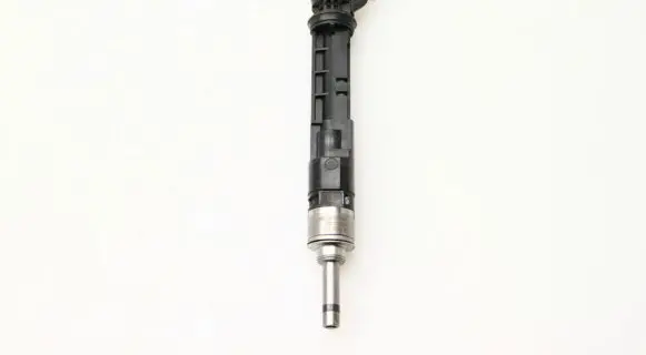 Nissan Juke II F16 Fuel injector 166001525R