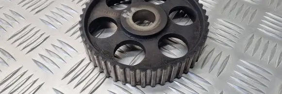 Volkswagen PASSAT B5 Camshaft pulley/ VANOS 069109111