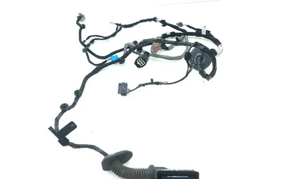 Front door wiring loom
