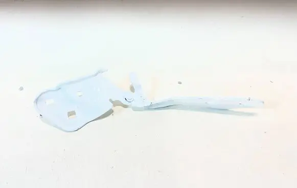 Tesla Model 3 Engine bonnet/hood hinges 109879300