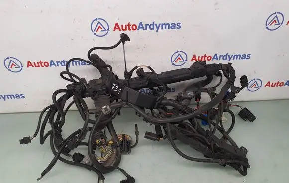 BMW 7 F01 F02 F03 F04 Engine installation wiring loom 7619579 12517619579