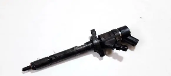 Ford Focus Fuel injector 0445110259 328480