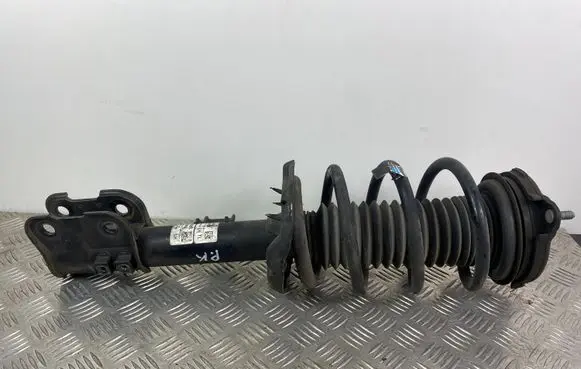 KIA Sorento Front shock absorber with coil spring 5465C200
