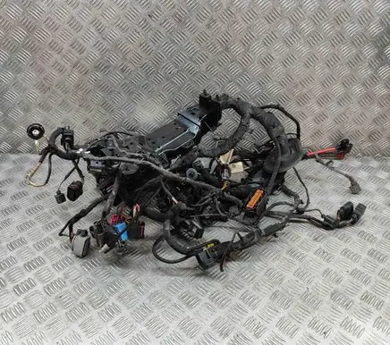 Engine installation wiring loom