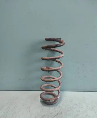 Volkswagen PASSAT B6 Rear coil spring
